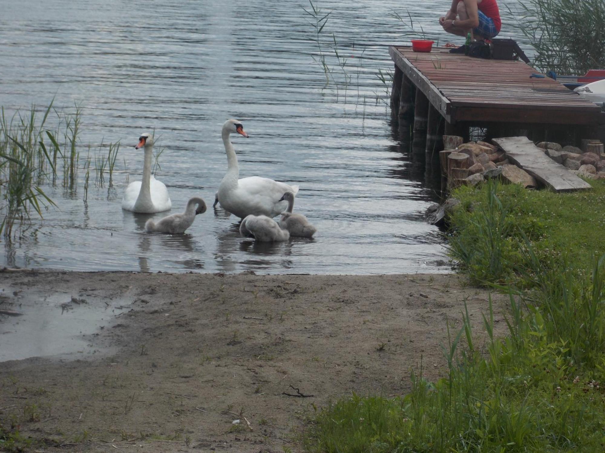 גיז'יצקו Mazury Home מראה חיצוני תמונה