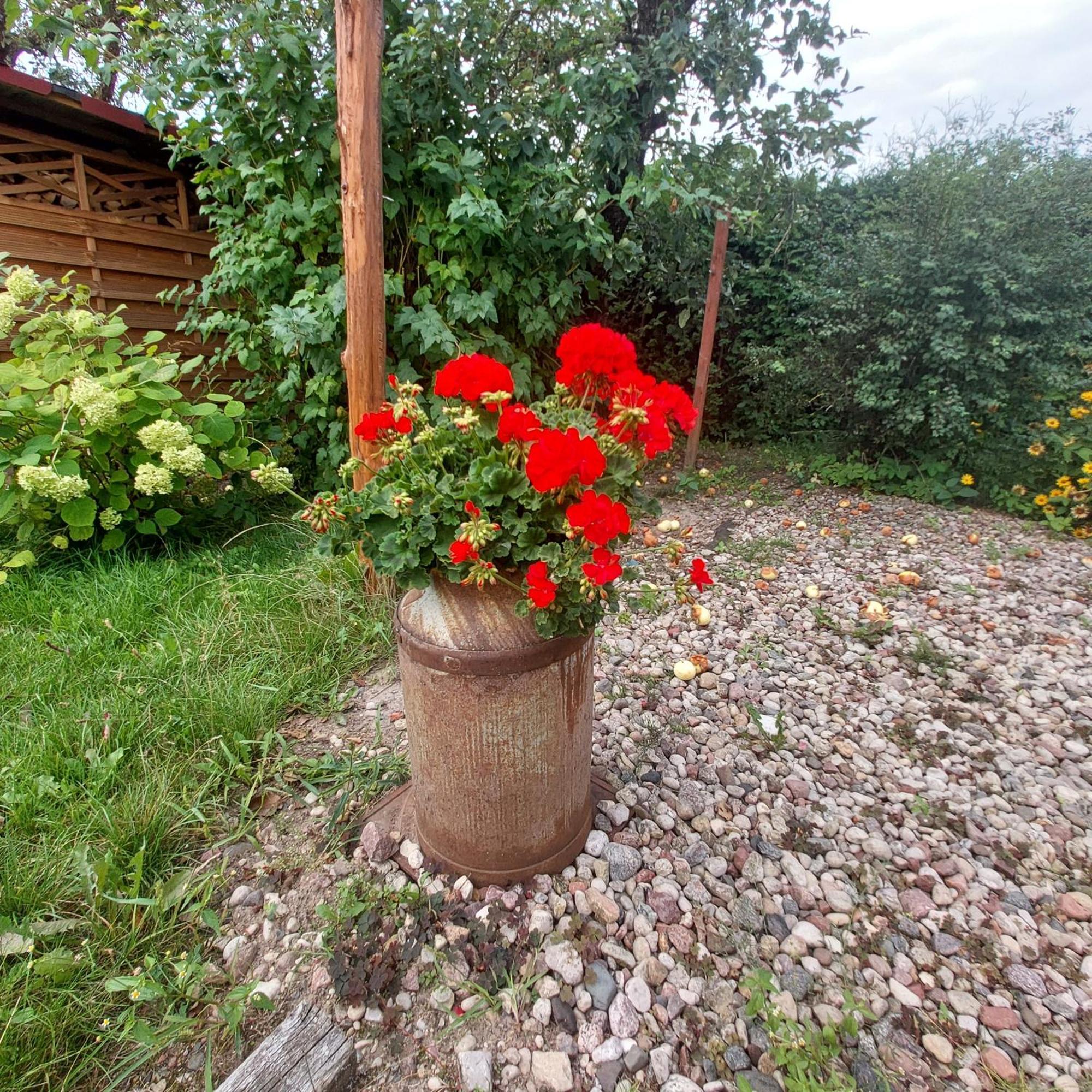 גיז'יצקו Mazury Home מראה חיצוני תמונה